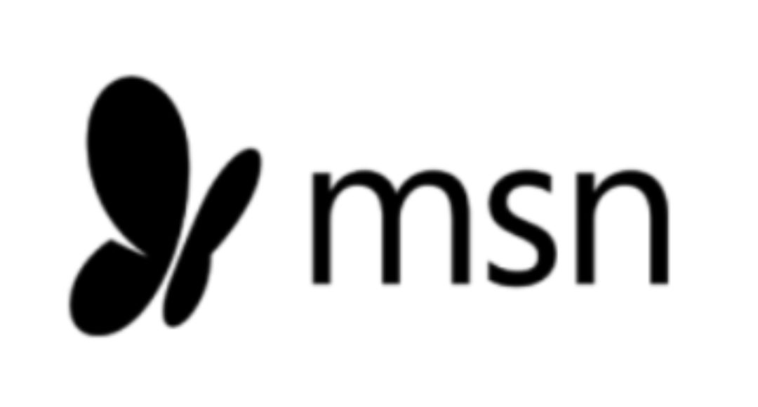 MSN Logo